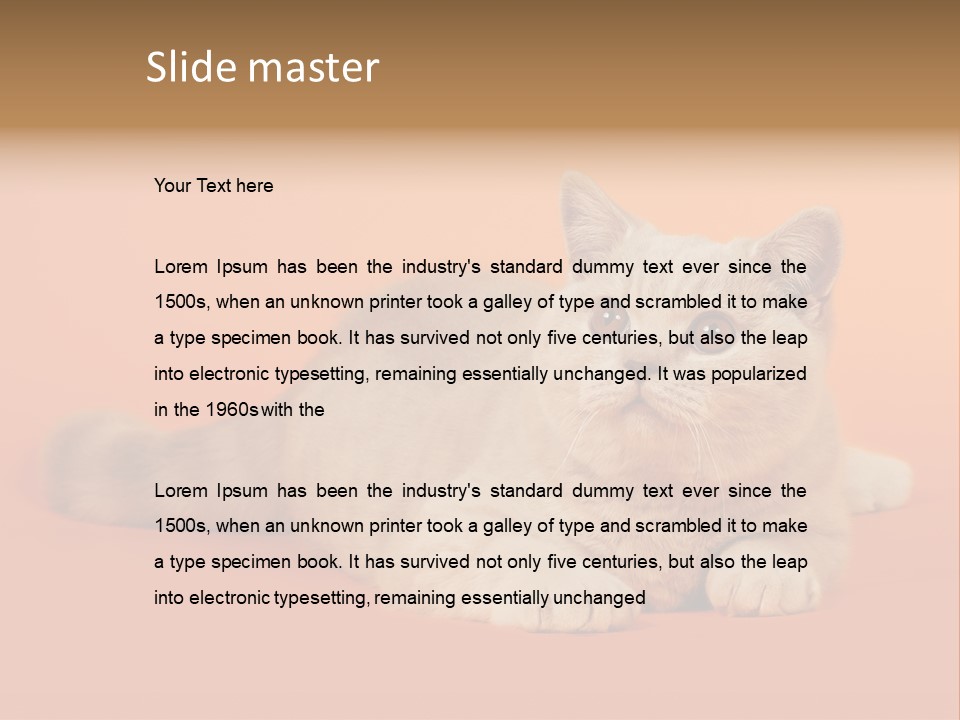 Cat Wallpaper 1920X1080 PowerPoint Template