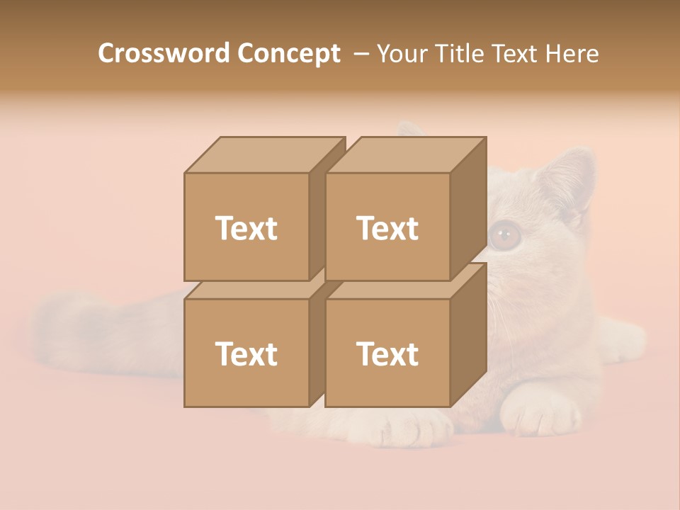 Cat Wallpaper 1920X1080 PowerPoint Template