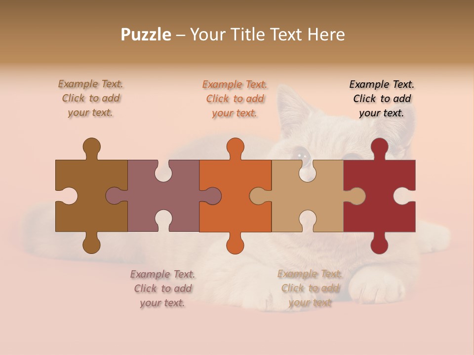 Cat Wallpaper 1920X1080 PowerPoint Template