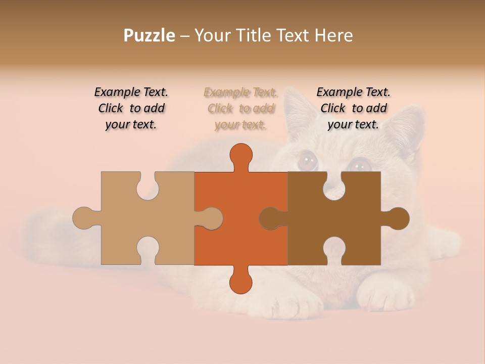 Cat Wallpaper 1920X1080 PowerPoint Template