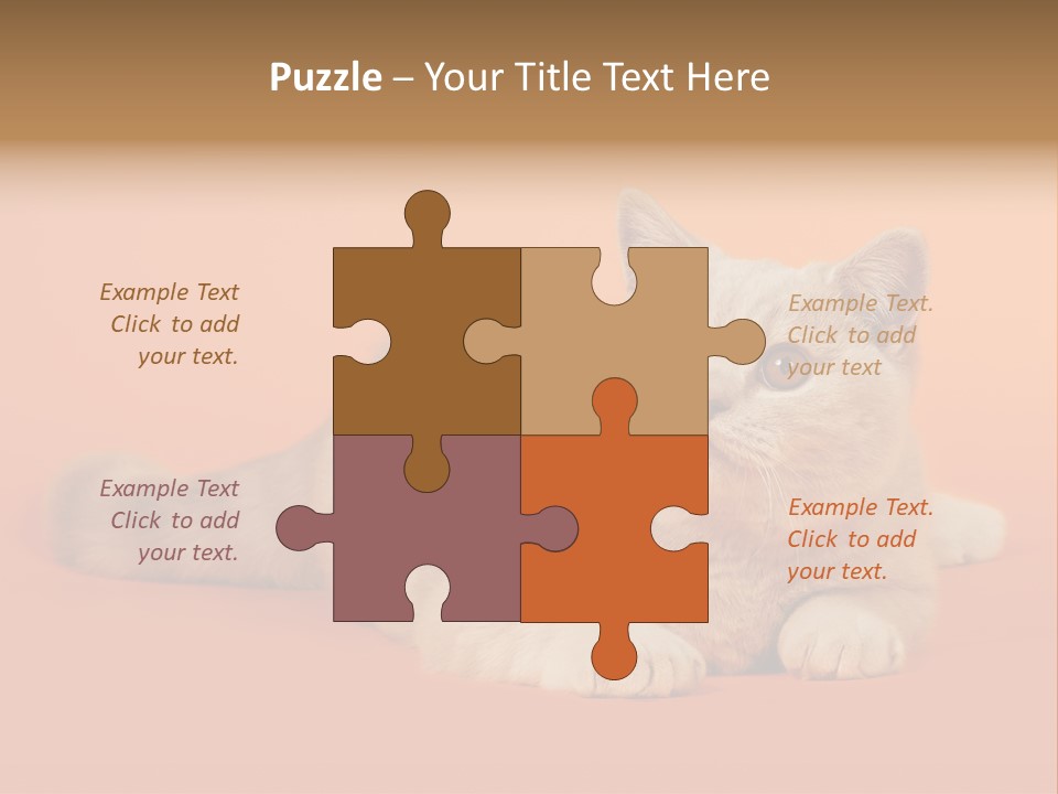 Cat Wallpaper 1920X1080 PowerPoint Template