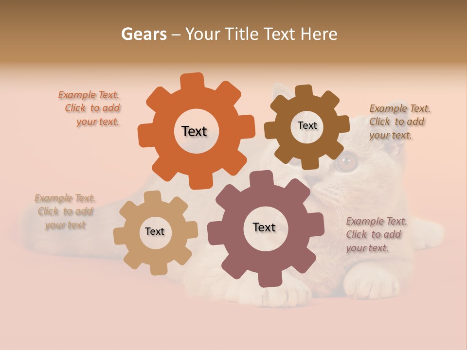 Cat Wallpaper 1920X1080 PowerPoint Template