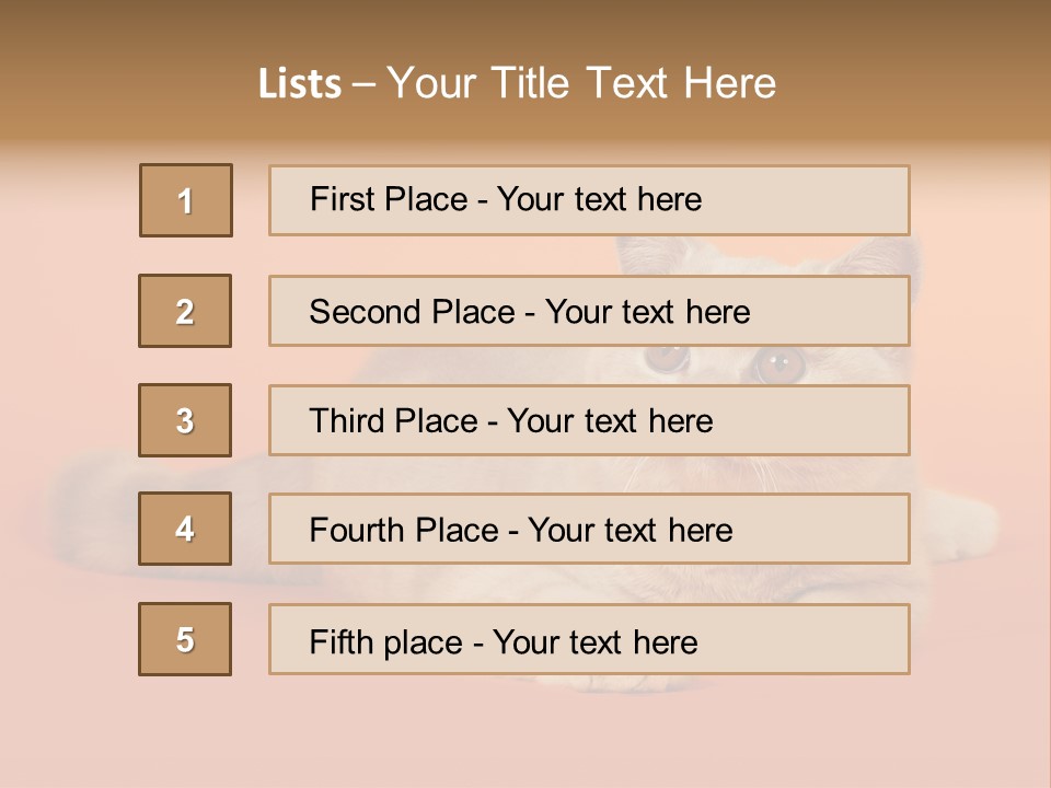 Cat Wallpaper 1920X1080 PowerPoint Template