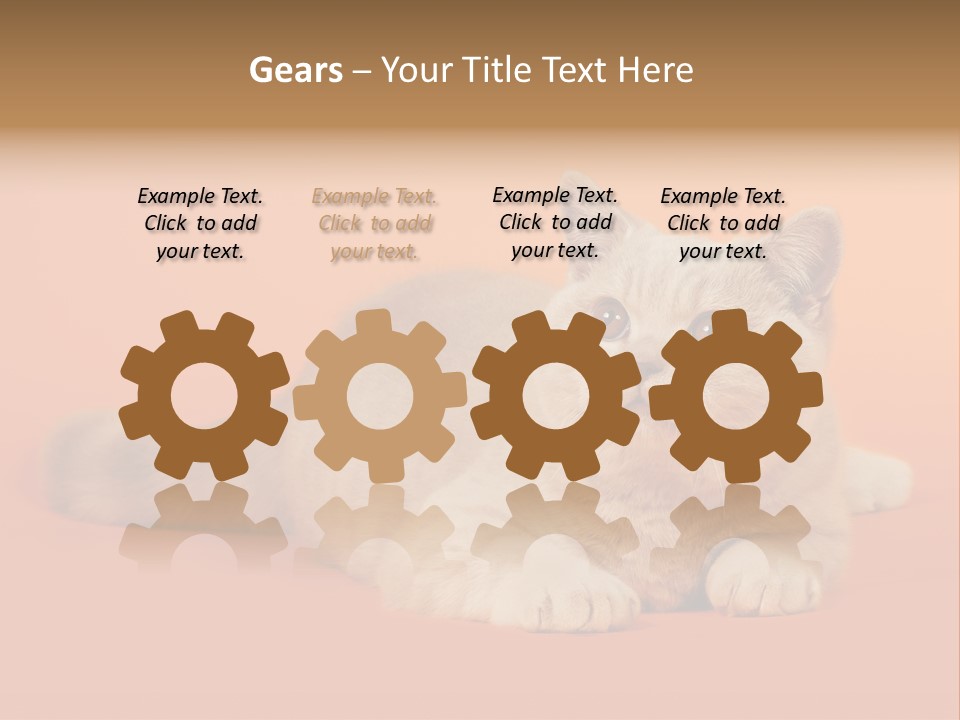 Cat Wallpaper 1920X1080 PowerPoint Template