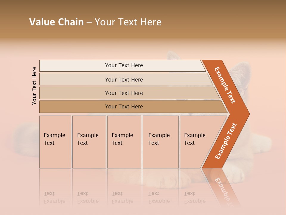 Cat Wallpaper 1920X1080 PowerPoint Template