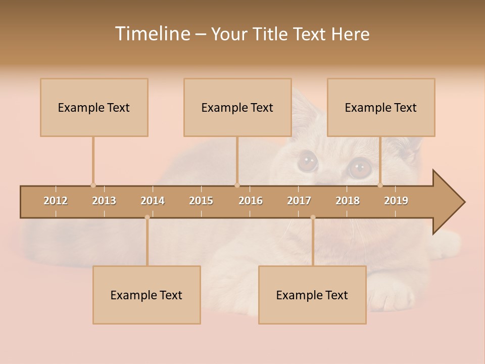 Cat Wallpaper 1920X1080 PowerPoint Template