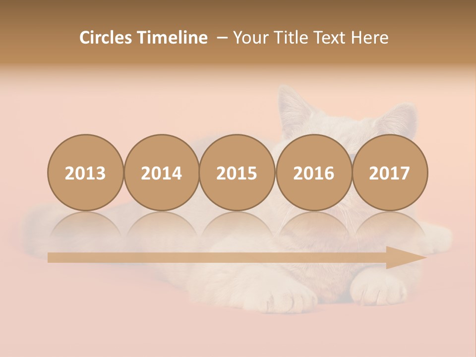 Cat Wallpaper 1920X1080 PowerPoint Template