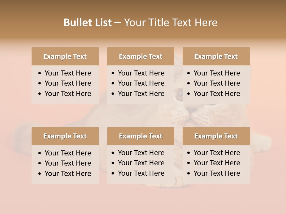 Cat Wallpaper 1920X1080 PowerPoint Template