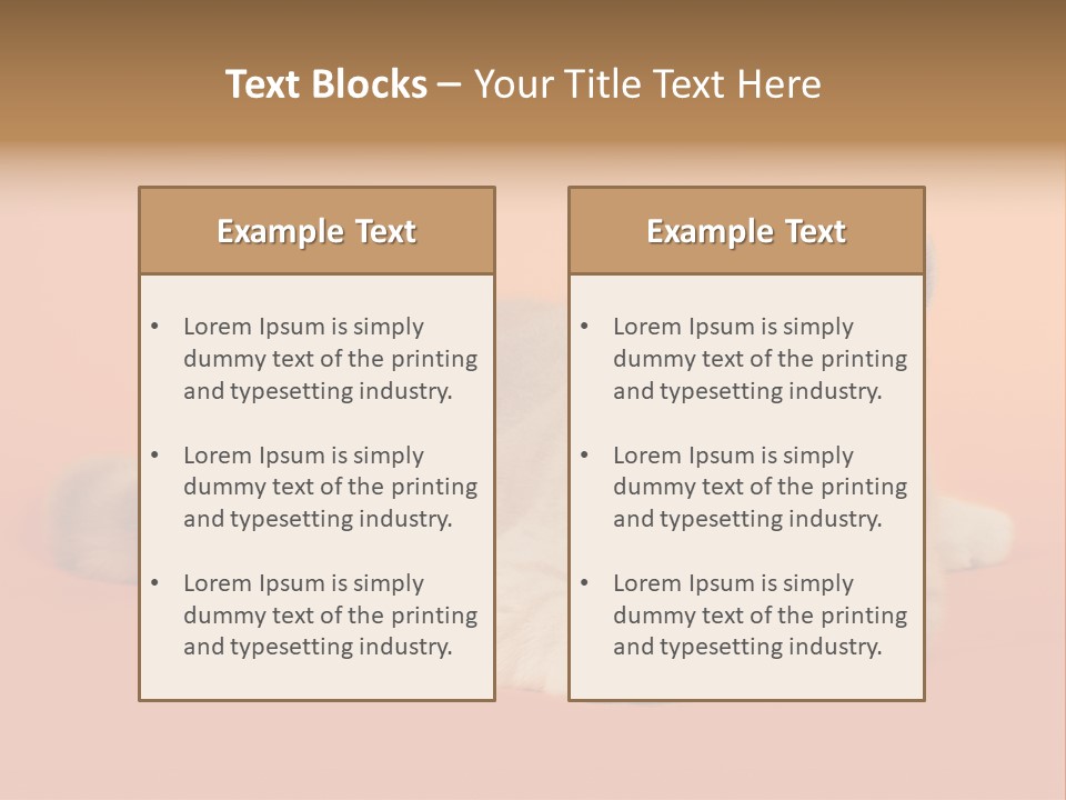 Cat Wallpaper 1920X1080 PowerPoint Template