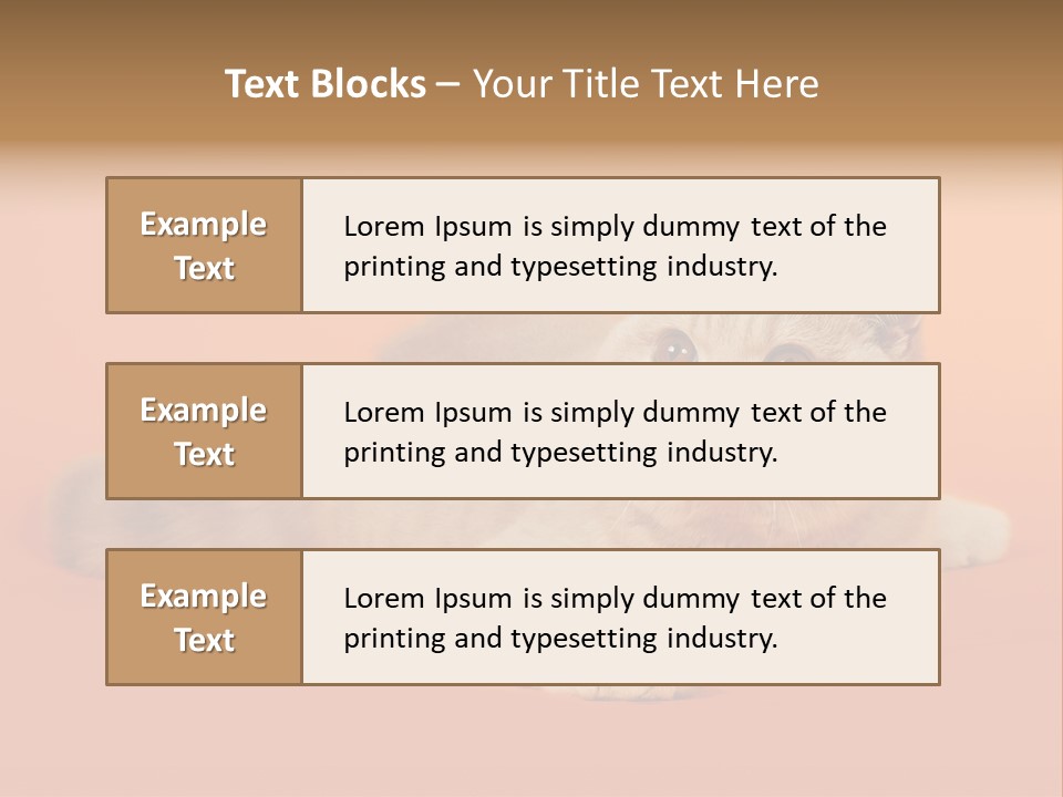 Cat Wallpaper 1920X1080 PowerPoint Template