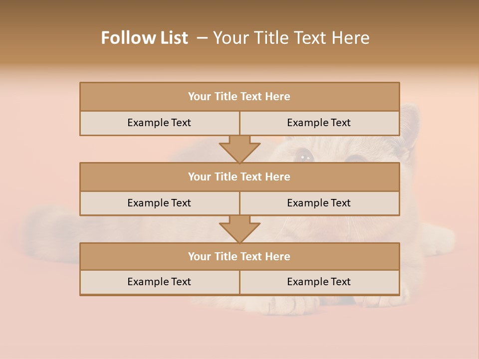 Cat Wallpaper 1920X1080 PowerPoint Template