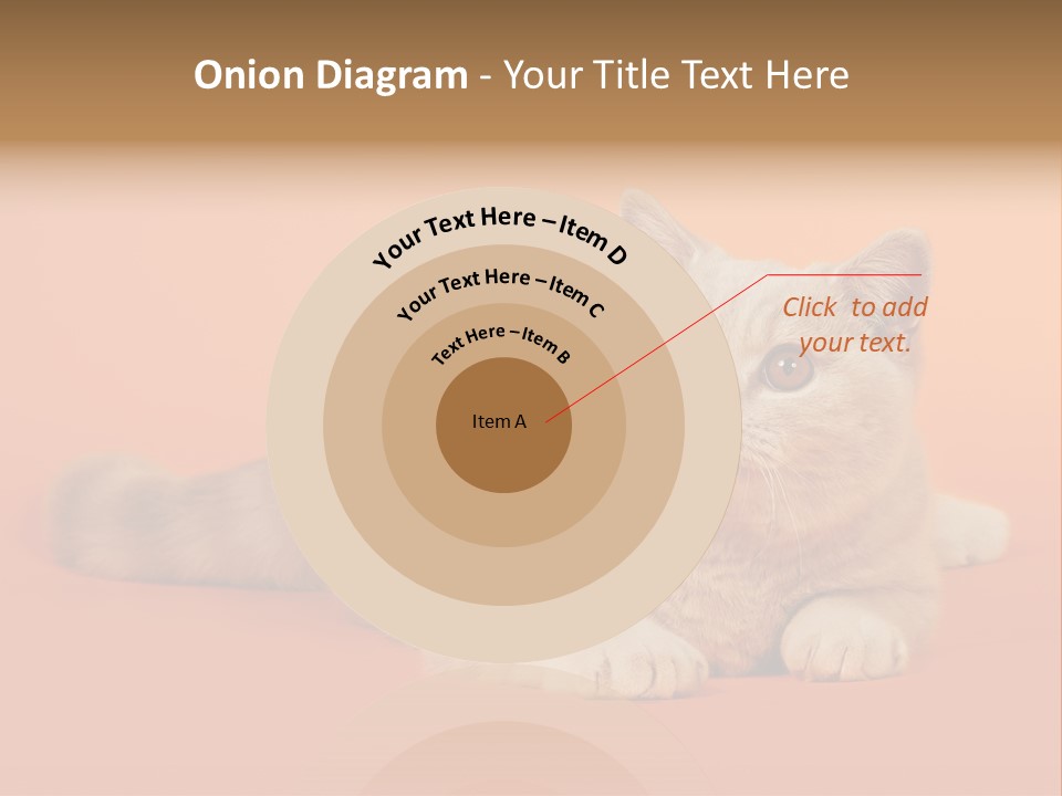 Cat Wallpaper 1920X1080 PowerPoint Template