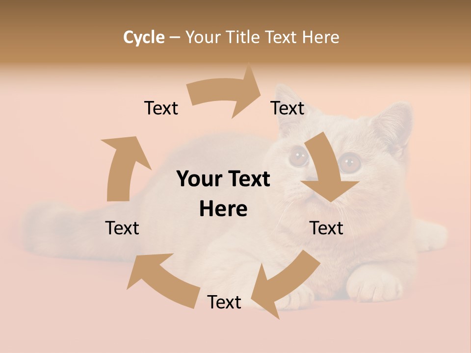 Cat Wallpaper 1920X1080 PowerPoint Template