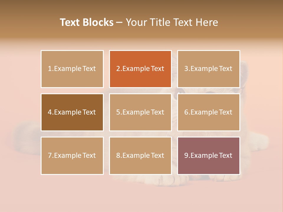 Cat Wallpaper 1920X1080 PowerPoint Template