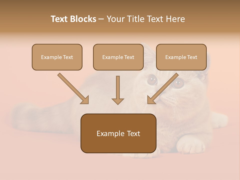 Cat Wallpaper 1920X1080 PowerPoint Template