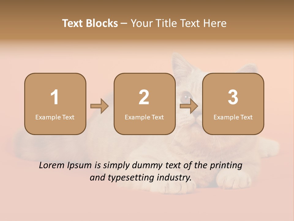 Cat Wallpaper 1920X1080 PowerPoint Template