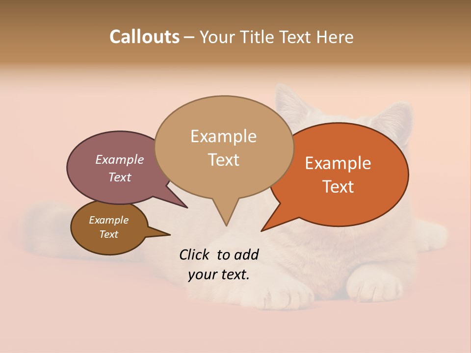 Cat Wallpaper 1920X1080 PowerPoint Template