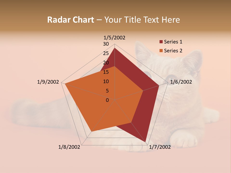 Cat Wallpaper 1920X1080 PowerPoint Template