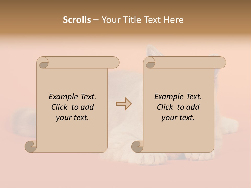 Cat Wallpaper 1920X1080 PowerPoint Template