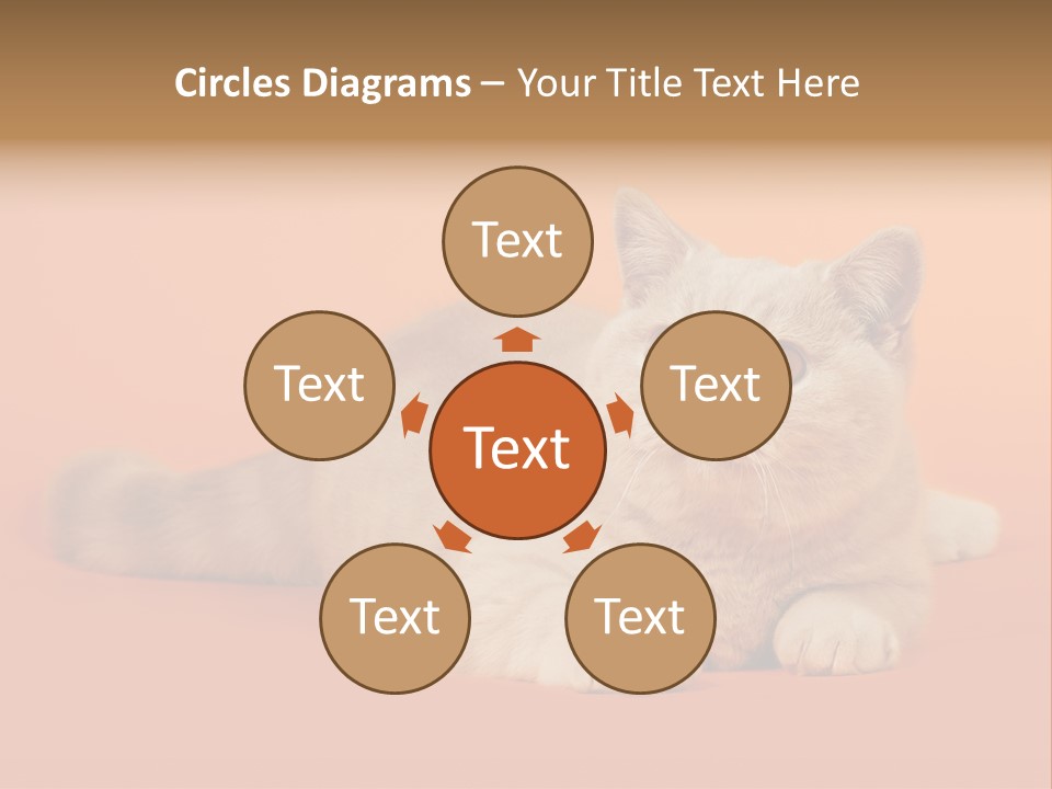 Cat Wallpaper 1920X1080 PowerPoint Template