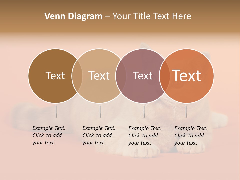 Cat Wallpaper 1920X1080 PowerPoint Template