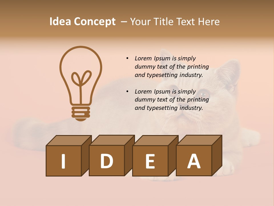 Cat Wallpaper 1920X1080 PowerPoint Template