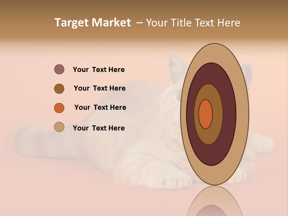 Cat Wallpaper 1920X1080 PowerPoint Template