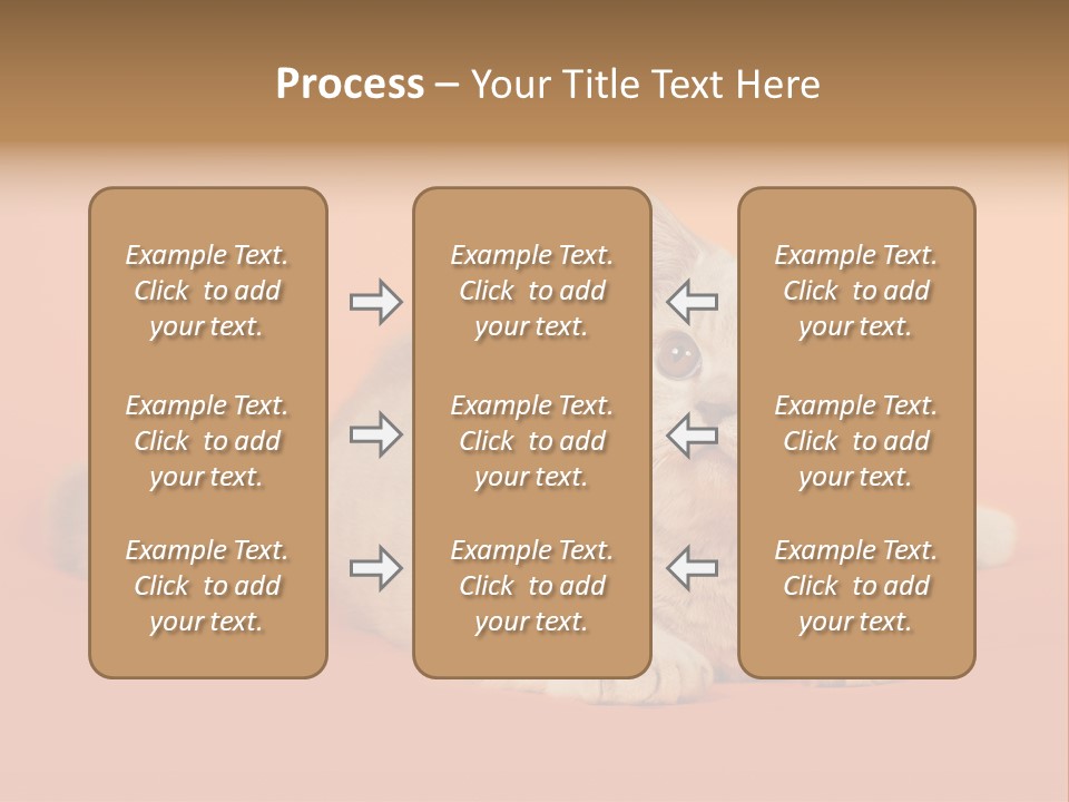 Cat Wallpaper 1920X1080 PowerPoint Template