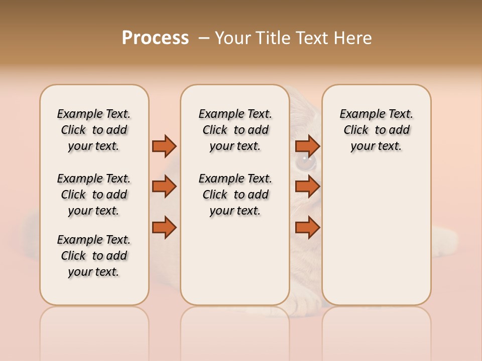 Cat Wallpaper 1920X1080 PowerPoint Template