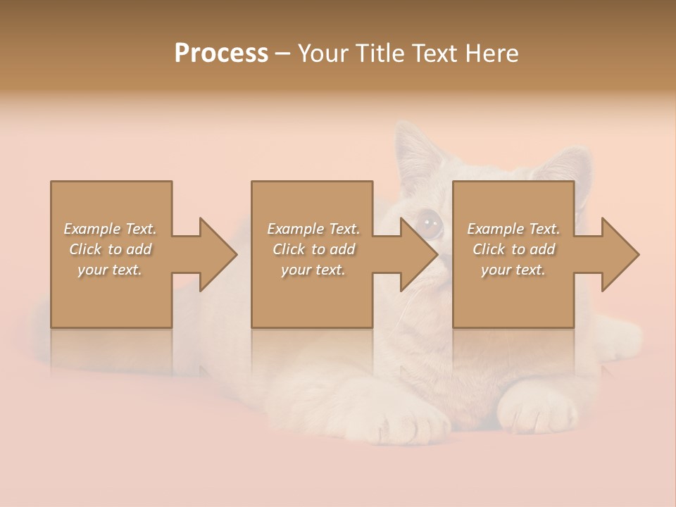 Cat Wallpaper 1920X1080 PowerPoint Template