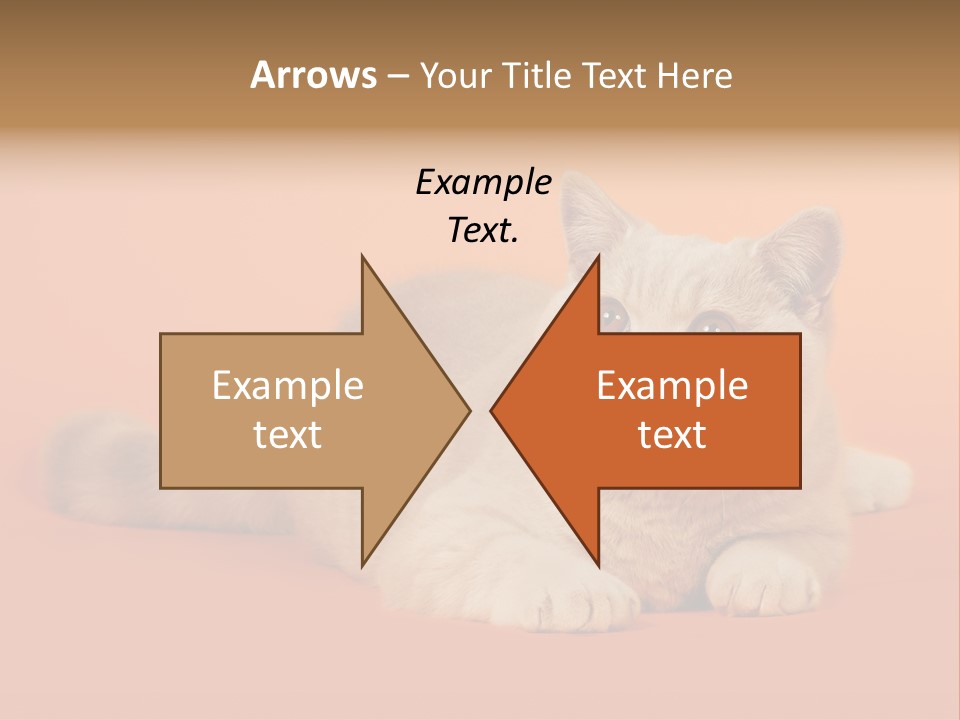 Cat Wallpaper 1920X1080 PowerPoint Template