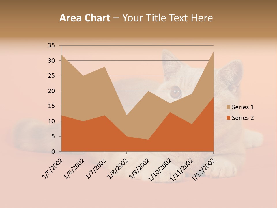 Cat Wallpaper 1920X1080 PowerPoint Template