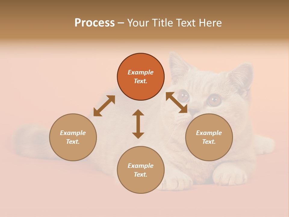 Cat Wallpaper 1920X1080 PowerPoint Template