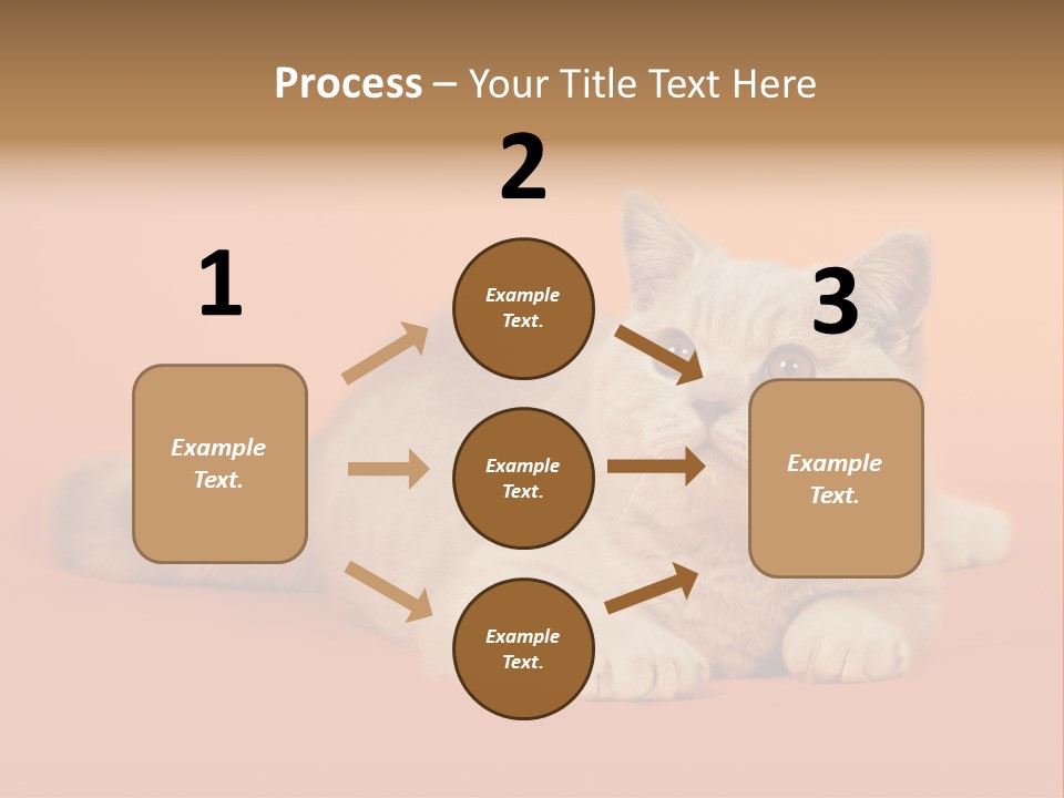 Cat Wallpaper 1920X1080 PowerPoint Template