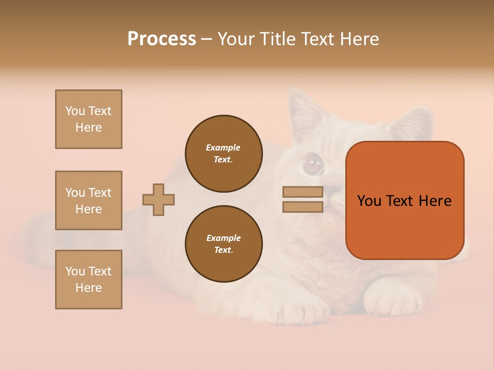 Cat Wallpaper 1920X1080 PowerPoint Template