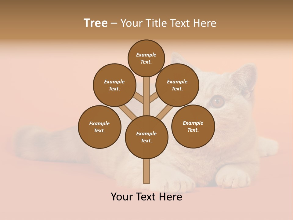 Cat Wallpaper 1920X1080 PowerPoint Template