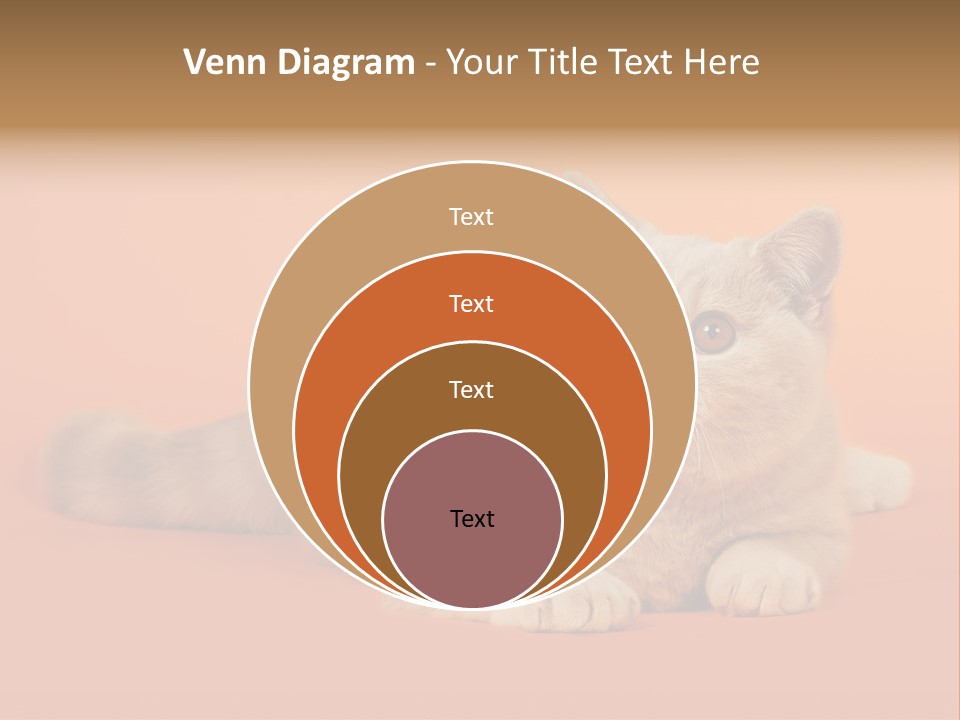 Cat Wallpaper 1920X1080 PowerPoint Template