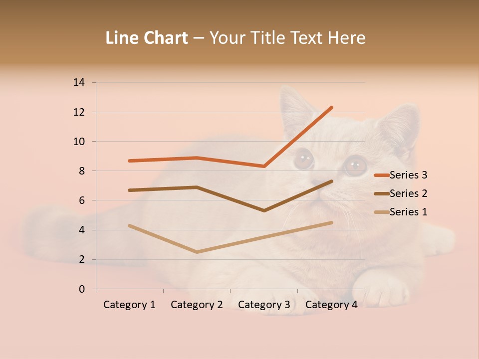 Cat Wallpaper 1920X1080 PowerPoint Template