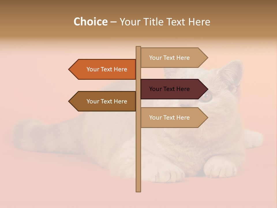 Cat Wallpaper 1920X1080 PowerPoint Template