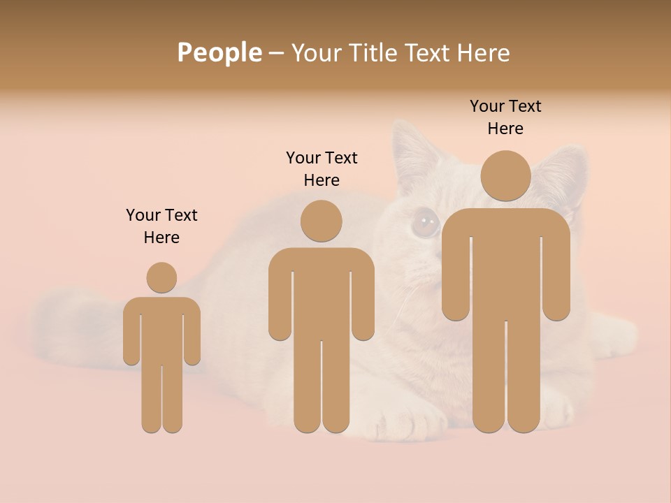 Cat Wallpaper 1920X1080 PowerPoint Template