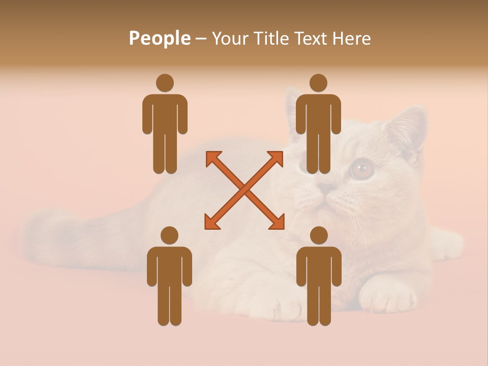 Cat Wallpaper 1920X1080 PowerPoint Template