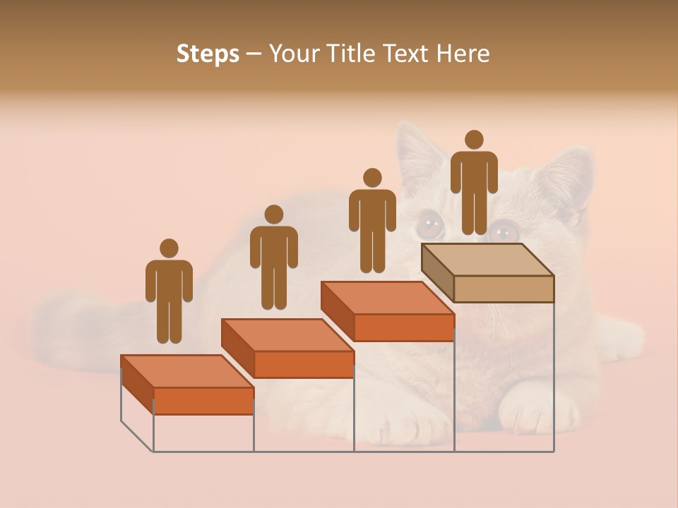 Cat Wallpaper 1920X1080 PowerPoint Template