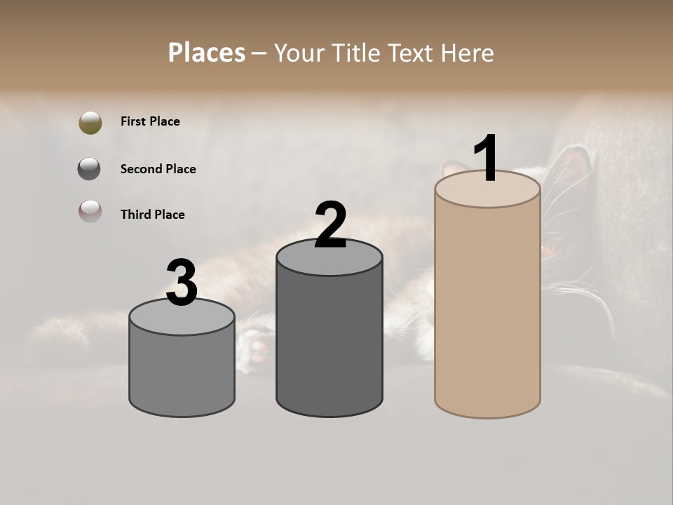 British Cats PowerPoint Template