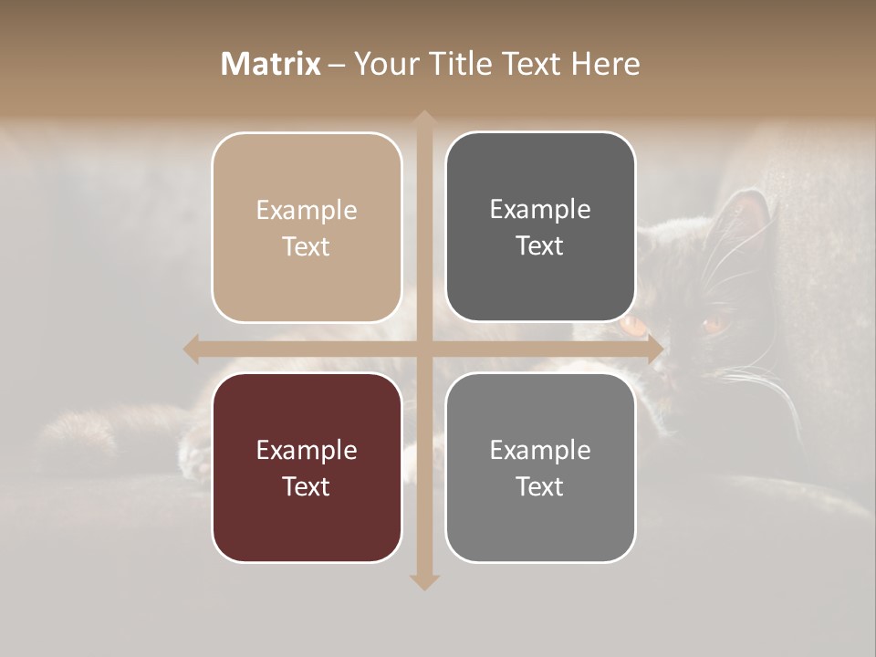 British Cats PowerPoint Template