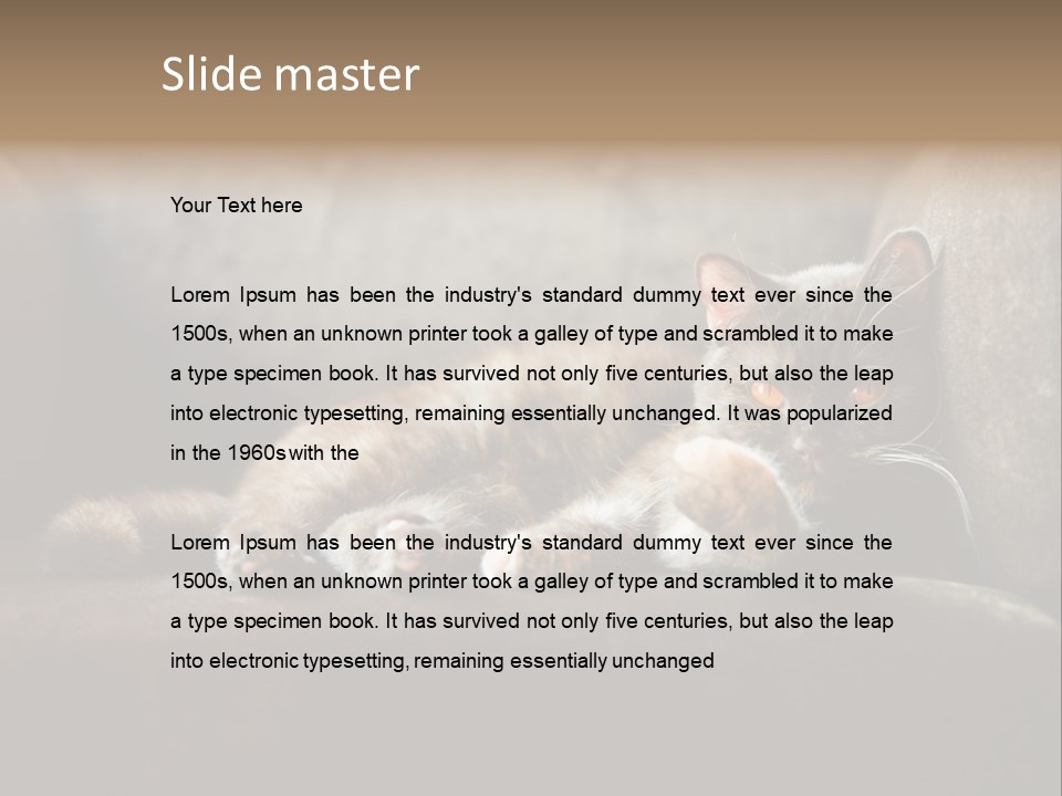 British Cats PowerPoint Template