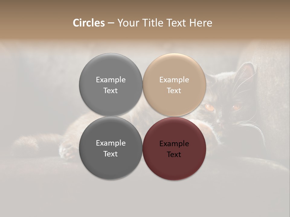 British Cats PowerPoint Template
