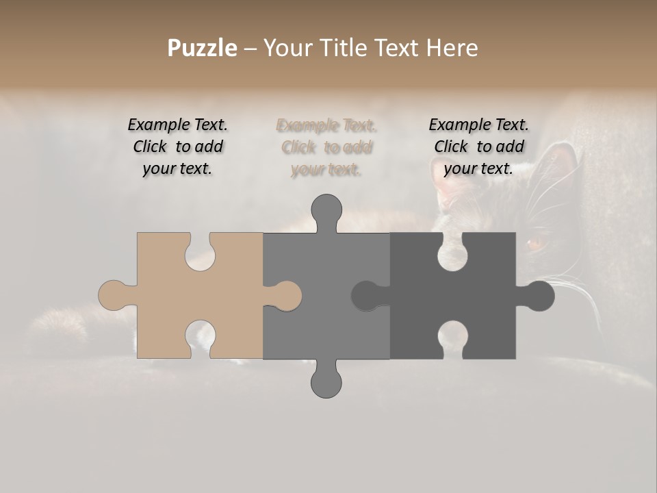 British Cats PowerPoint Template