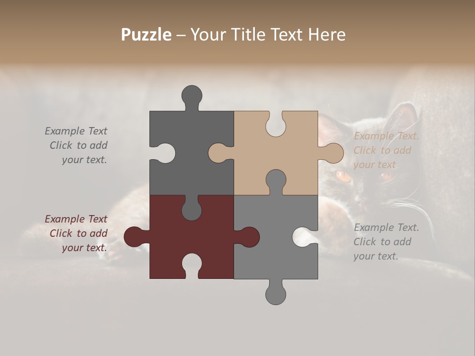 British Cats PowerPoint Template