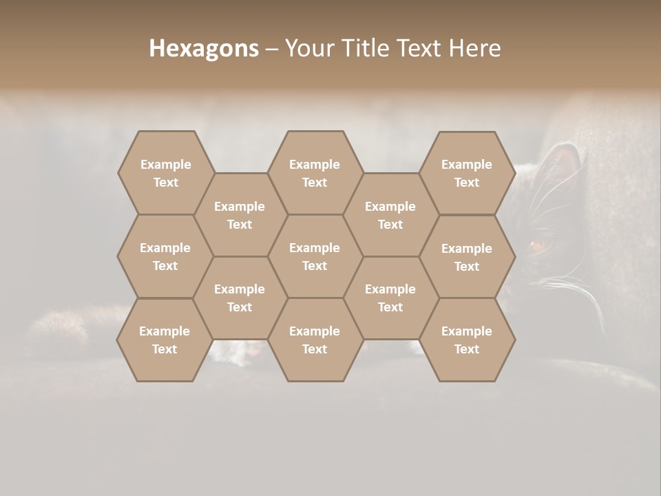 British Cats PowerPoint Template