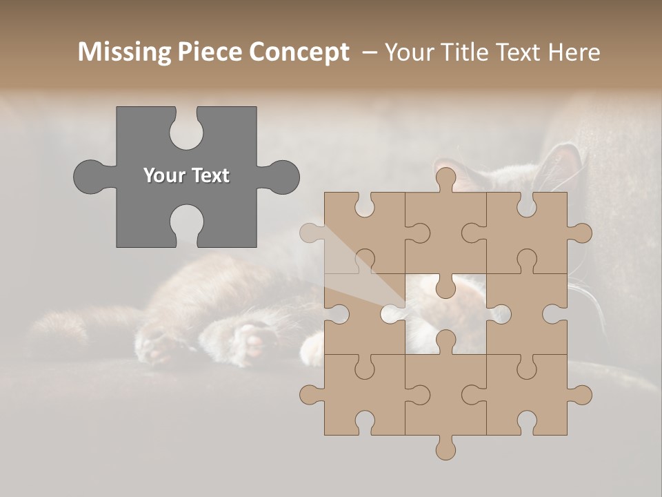 British Cats PowerPoint Template